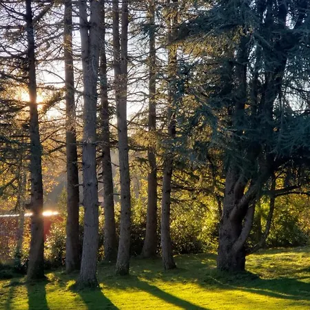 La Cayrouse Piscine Tennis Boulodrome * Le Bouyssou