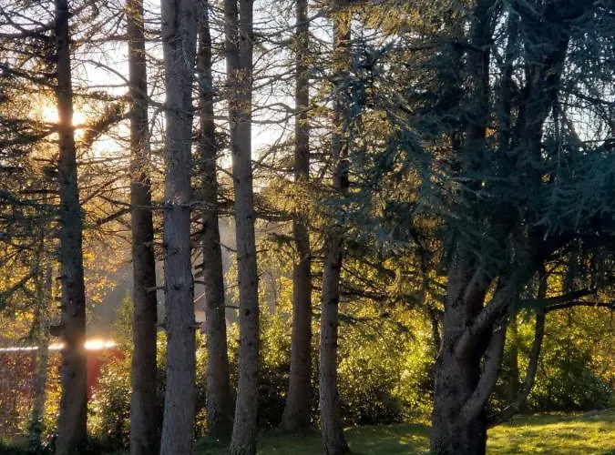 La Cayrouse Piscine Tennis Boulodrome * Le Bouyssou