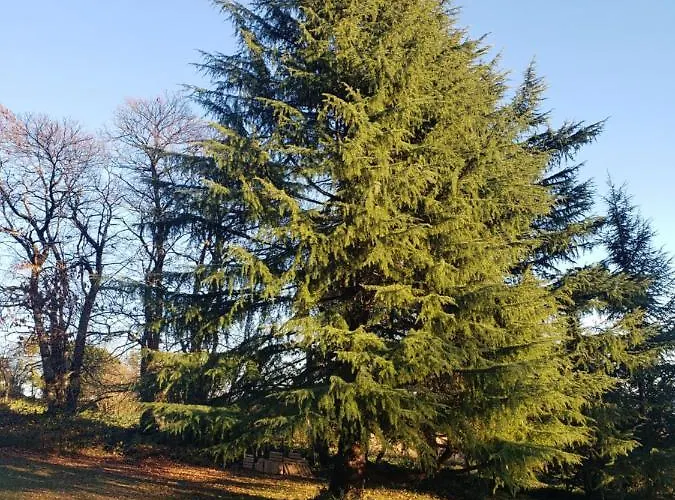 La Cayrouse Piscine Tennis Boulodrome Villa *